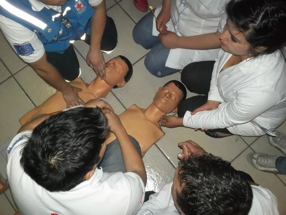 Vistos de cima, jovens, a maioria de jaleco branco, ajoelhados em volta de dois manequins, praticam compressões torácicas, orientados por um voluntário da Cruz Vermelha Chilena de colete azul