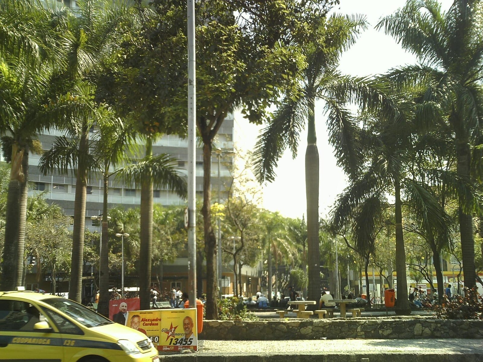 Praça da Cruz Vermelha, no Centro do Rio de Janeiro, com palmeiras e o prédio ao fundo