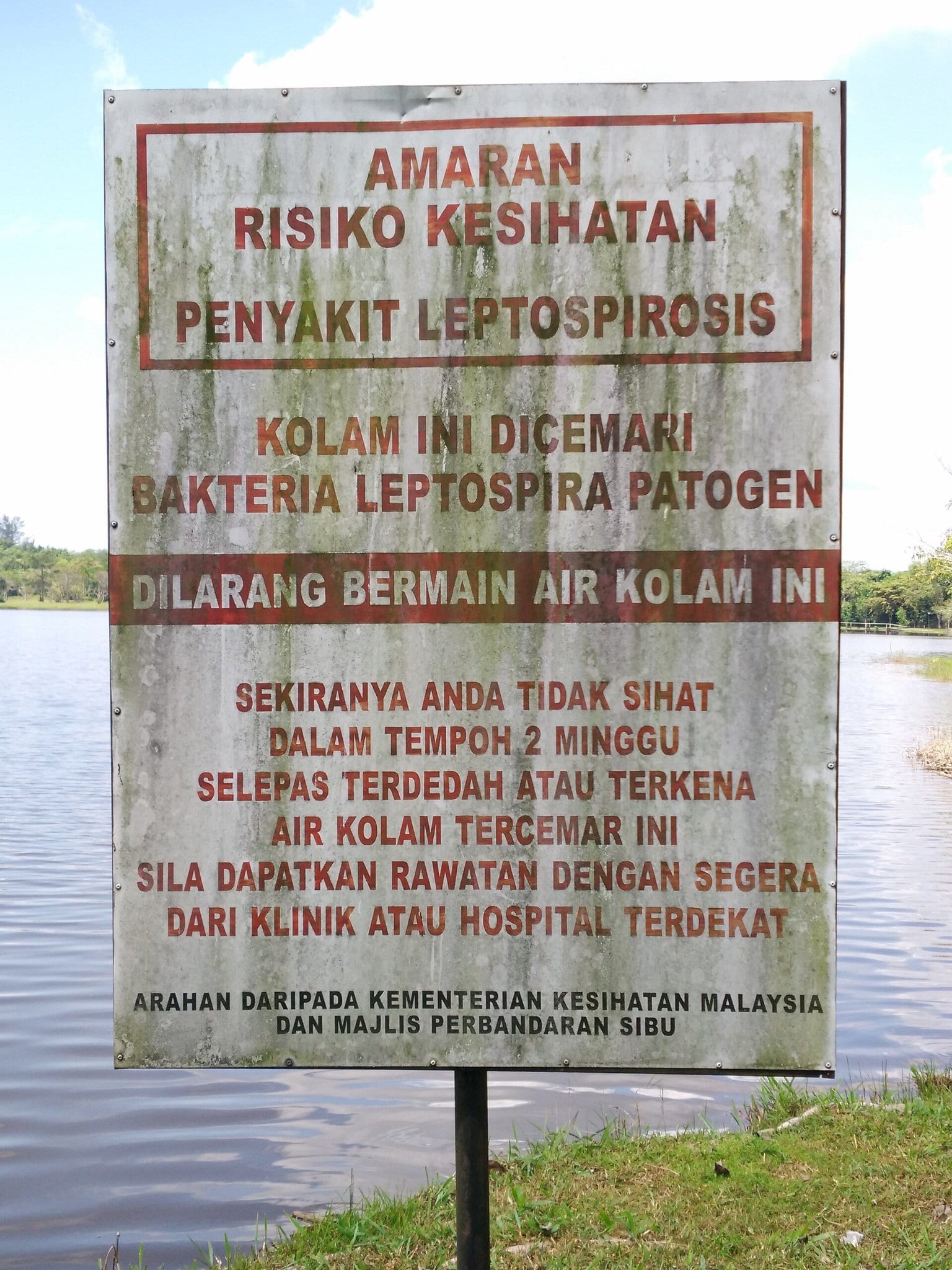 Placa de aviso sobre leptospirose à beira de um lago, orientando a não entrar na água